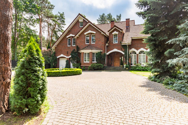 Best Local Driveway Pavers  in Elm Creek, TX