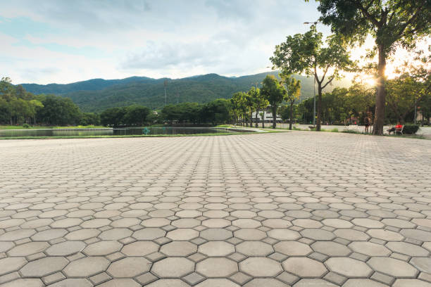 Best Decorative Driveway Pavers  in Elm Creek, TX